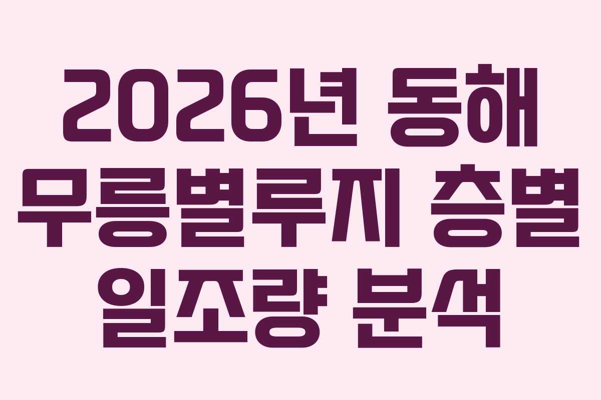 2026년 동해 무릉별루지 층별 일조량 분석