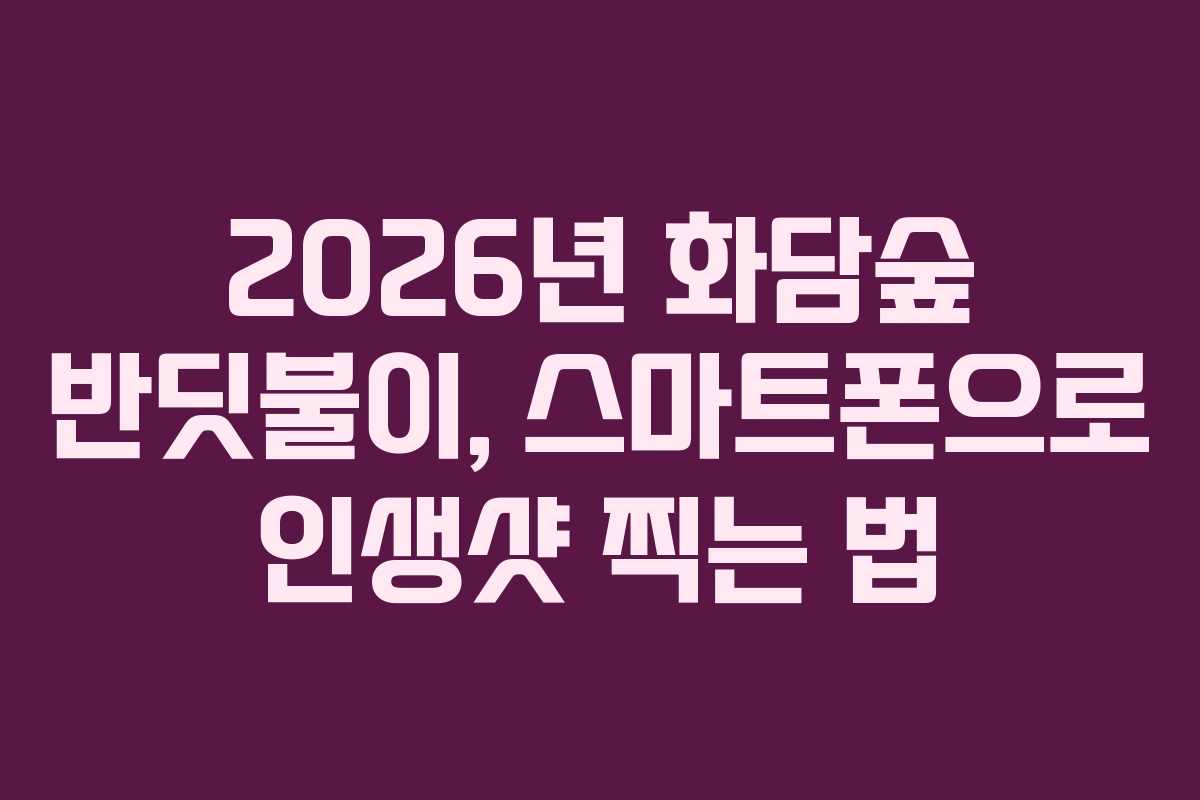 2026년 화담숲 반딧불이, 스마트폰으로 인생샷 찍는 법