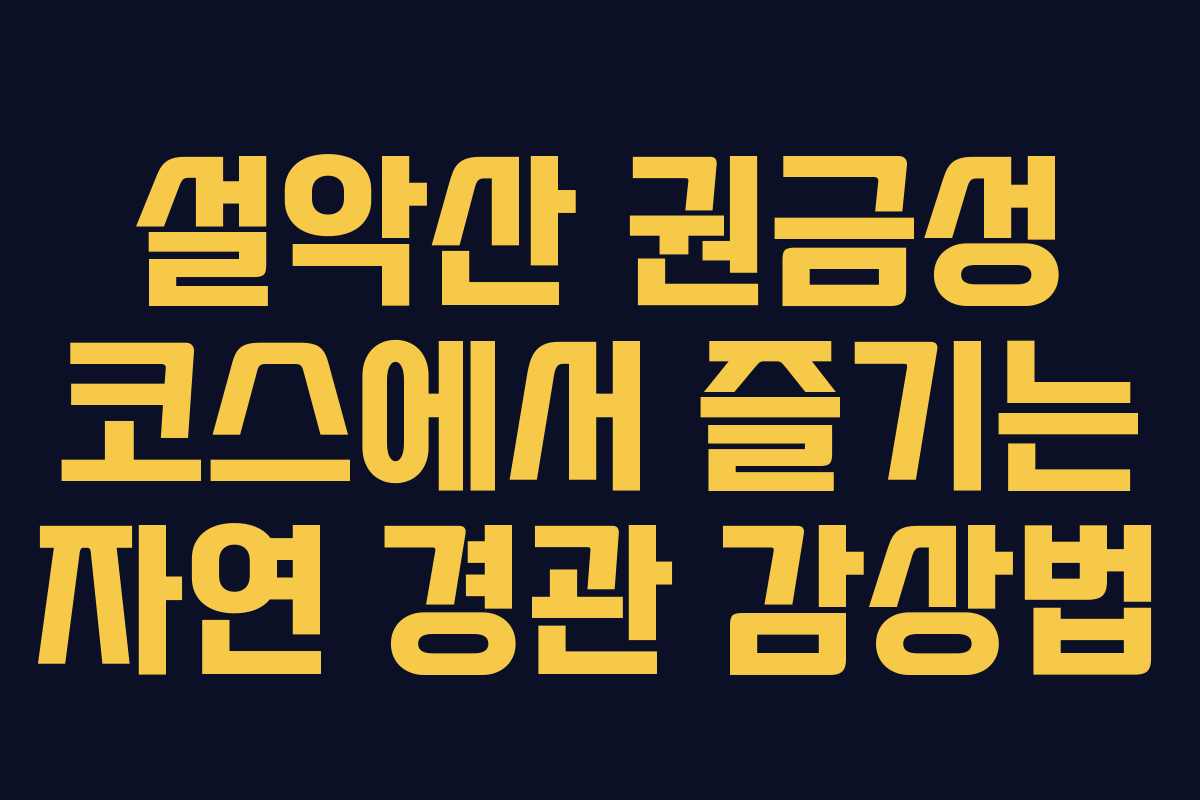 설악산 권금성 코스에서 즐기는 자연 경관 감상법