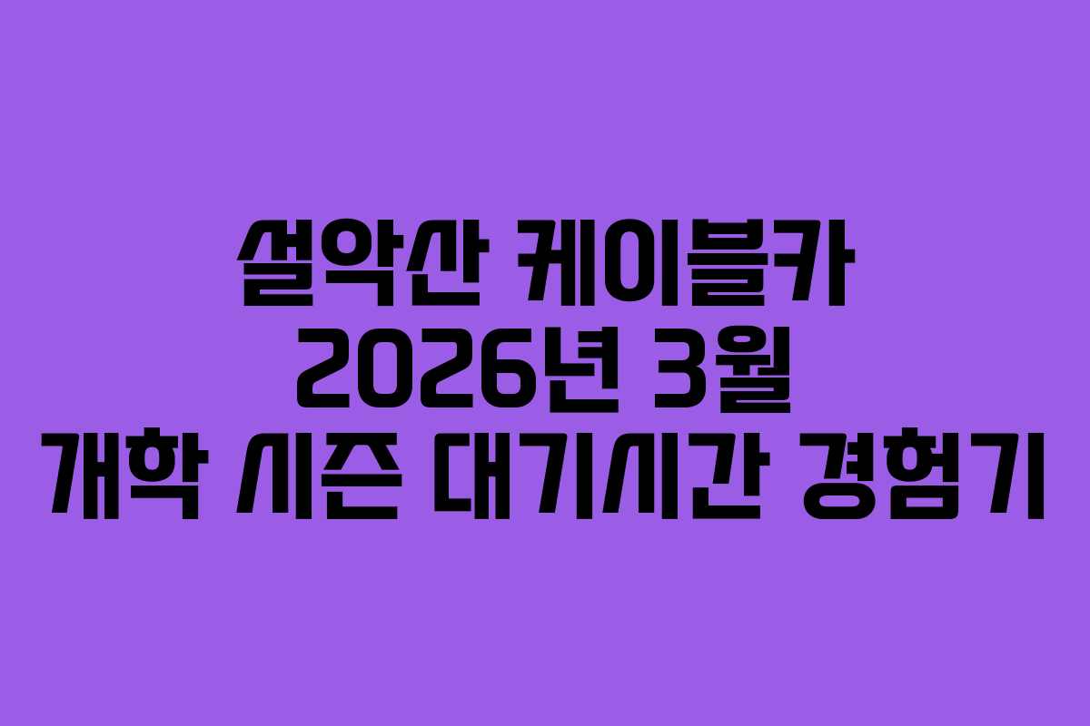 설악산 케이블카 2026년 3월 개학 시즌 대기시간 경험기