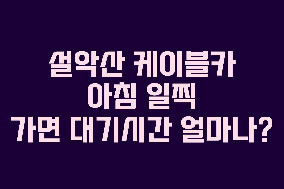 설악산 케이블카 아침 일찍 가면 대기시간 얼마나? 설악산 케이블카 아침 일찍 가면 대기시간 얼마나?