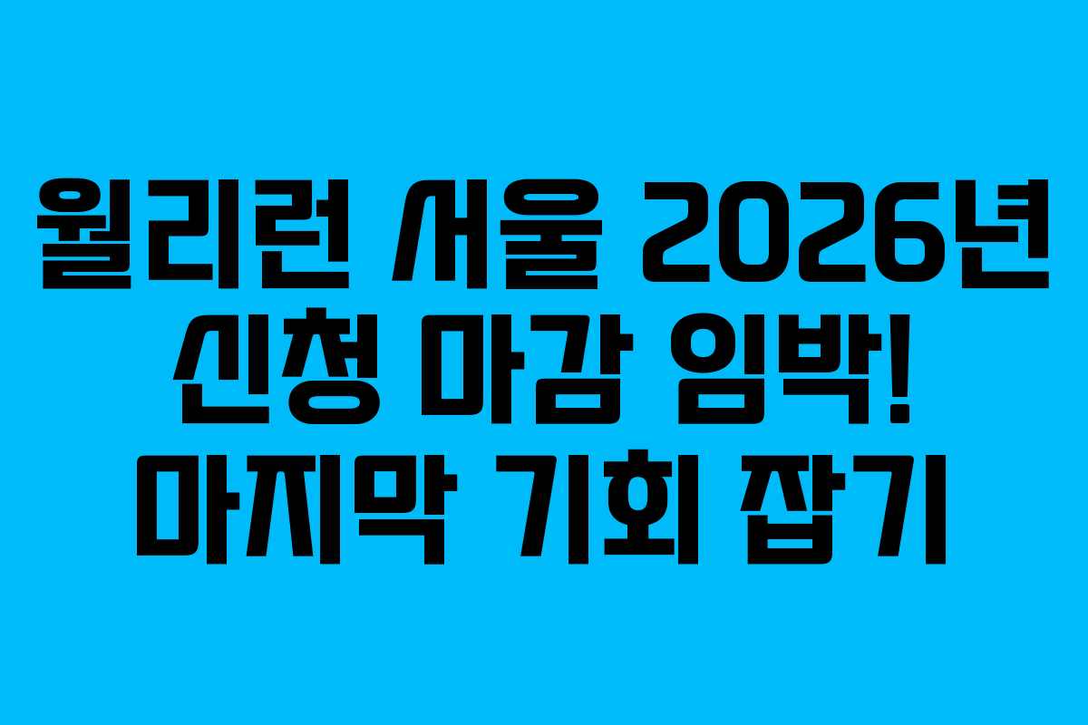 월리런 서울 2026년 신청 마감 임박! 마지막 기회 잡기