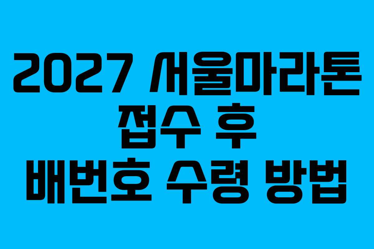 2027 서울마라톤 접수 후 배번호 수령 방법