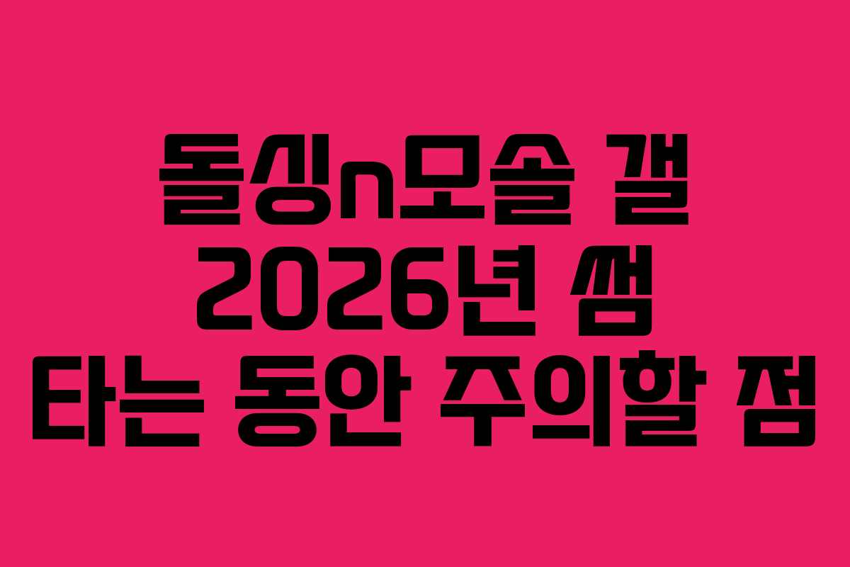 돌싱n모솔 갤 2026년 썸 타는 동안 주의할 점
