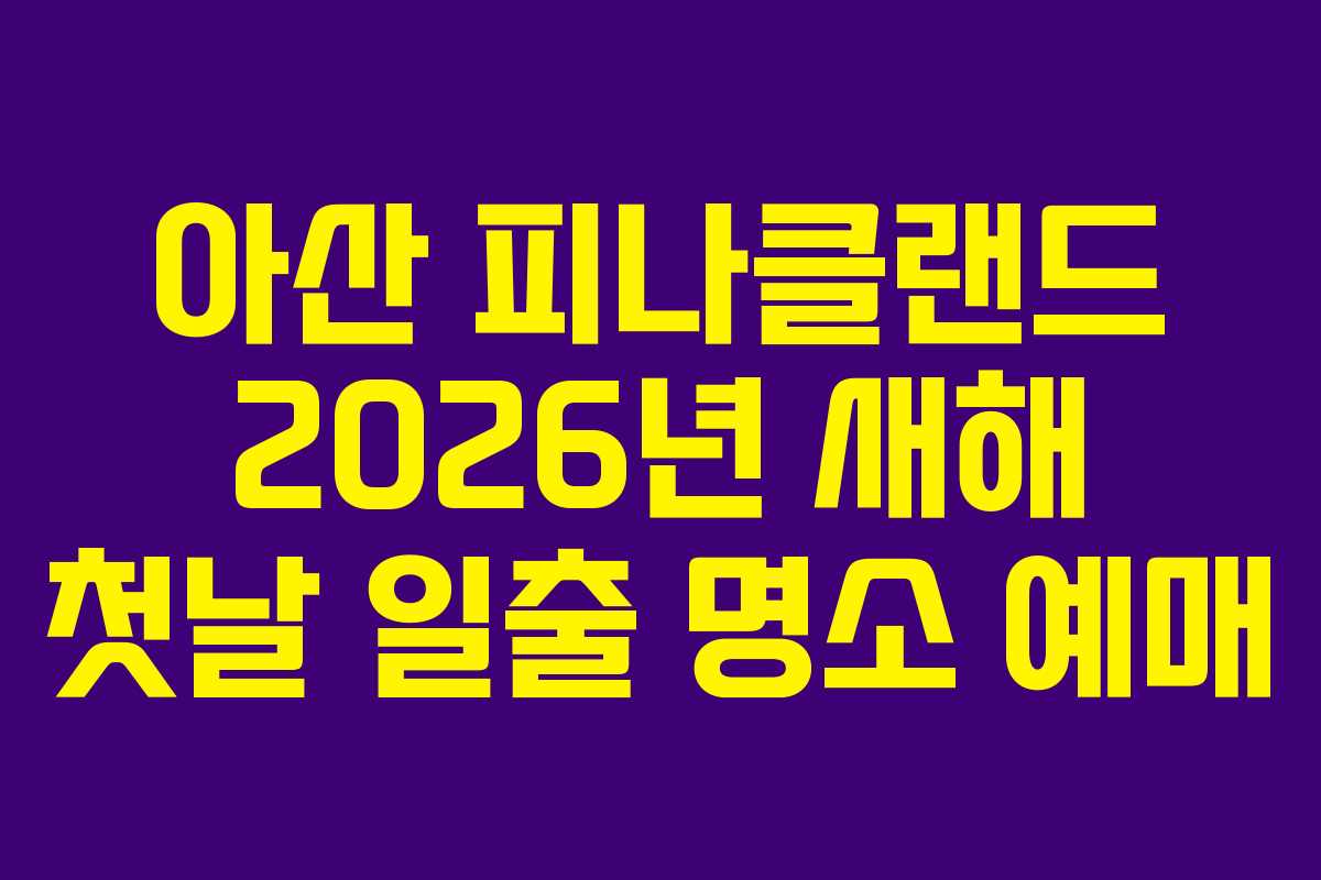 아산 피나클랜드 2026년 새해 첫날 일출 명소 예매