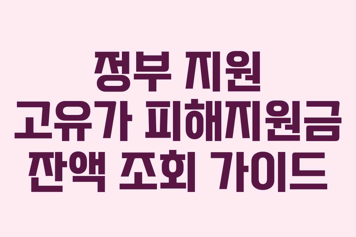 정부 지원 고유가 피해지원금 잔액 조회 가이드 정부 지원 고유가 피해지원금 잔액 조회 가이드