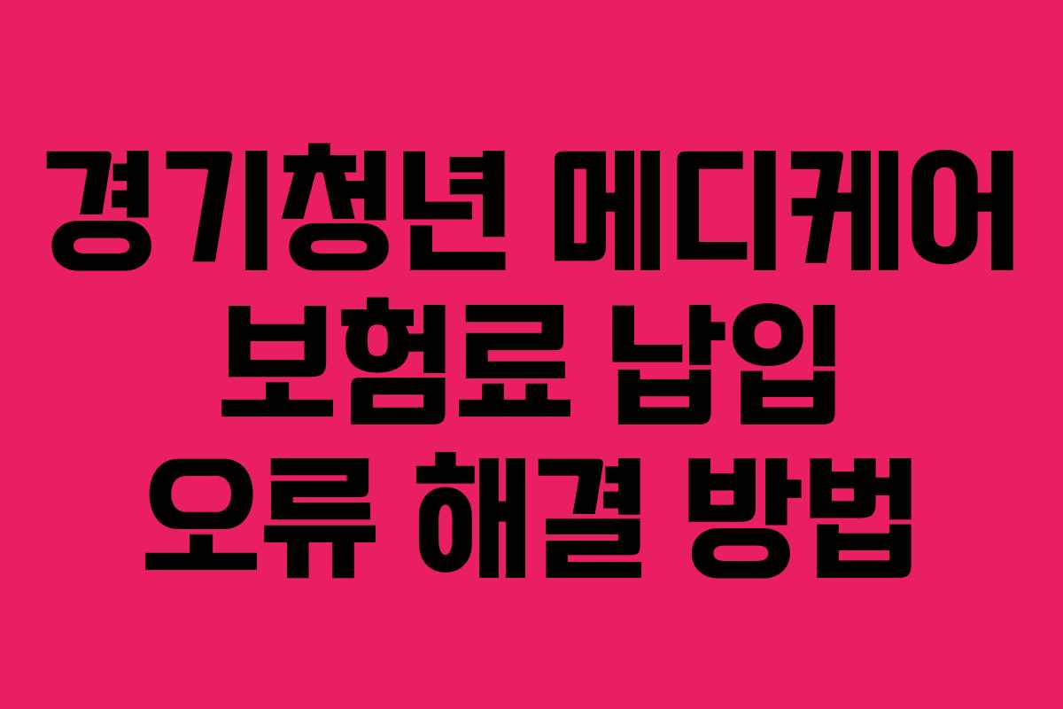 경기청년 메디케어 보험료 납입 오류 해결 방법 경기청년 메디케어 보험료 납입 오류 해결 방법