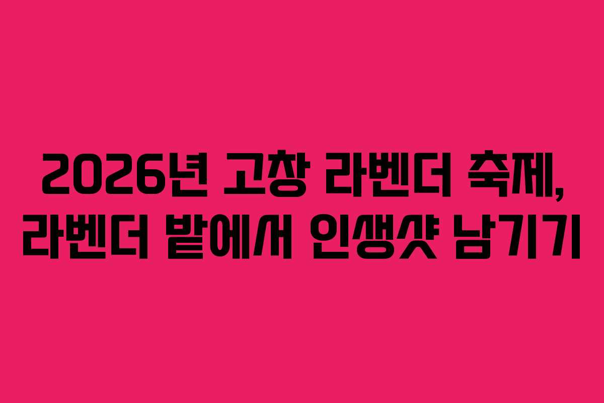 2026년 고창 라벤더 축제, 라벤더 밭에서 인생샷 남기기