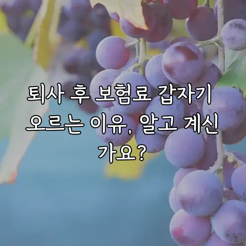 퇴사 후 보험료 갑자기 오르는 이유, 알고 계신가요?