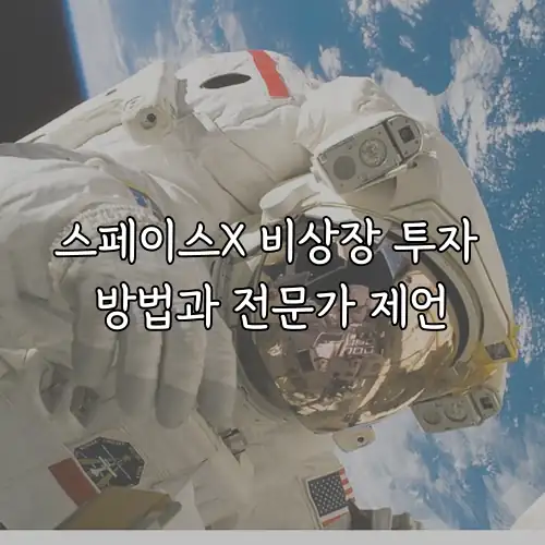 스페이스X 비상장 투자 방법과 전문가 제언