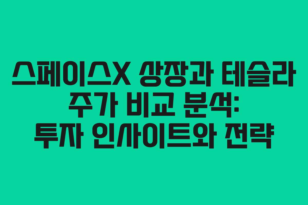 스페이스X 상장과 테슬라 주가 비교 분석: 투자 인사이트와 전략