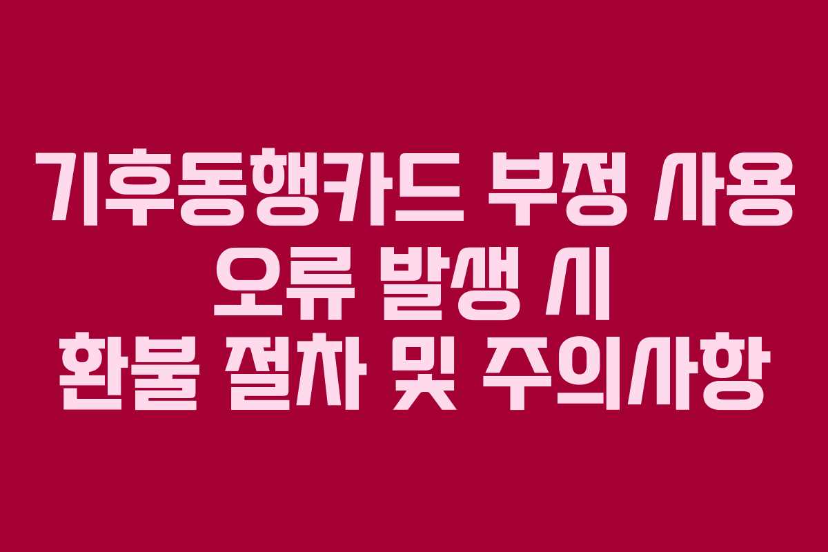 기후동행카드 부정 사용 오류 발생 시 환불 절차 및 주의사항
