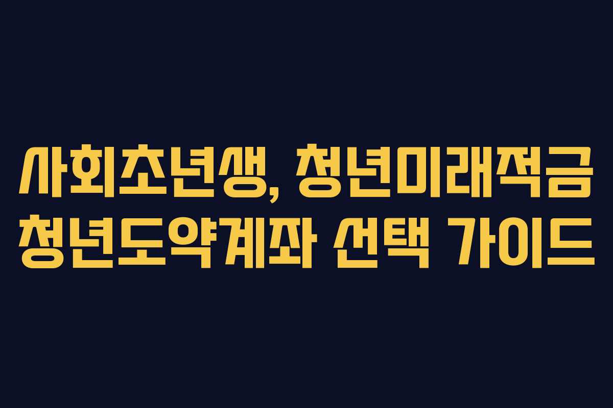 사회초년생, 청년미래적금 청년도약계좌 선택 가이드