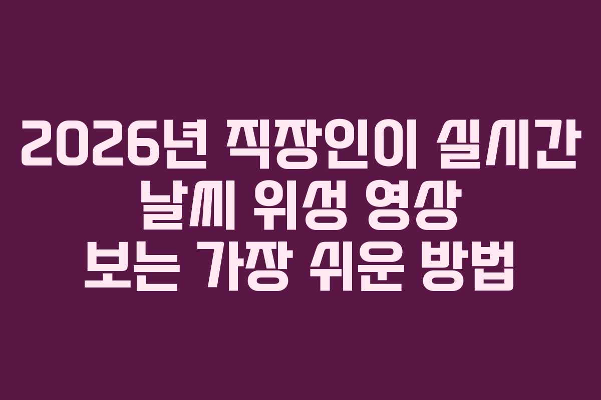 2026년 직장인이 실시간 날씨 위성 영상 보는 가장 쉬운 방법