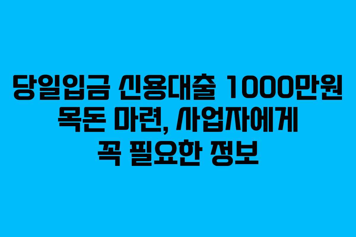 당일입금 신용대출 1000만원 목돈 마련, 사업자에게 꼭 필요한 정보