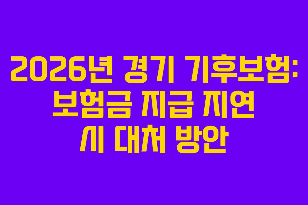2026년 경기 기후보험: 보험금 지급 지연 시 대처 방안