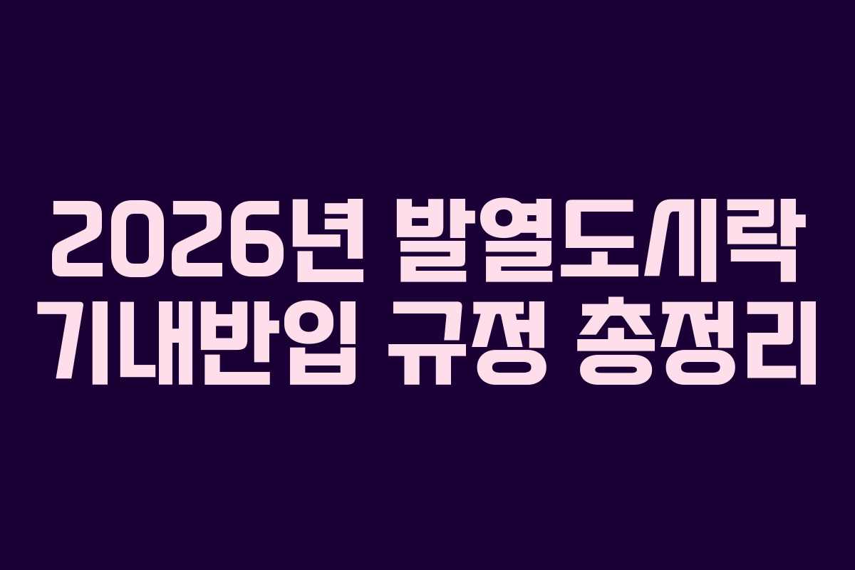 2026년 발열도시락 기내반입 규정 총정리