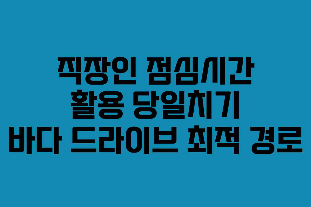 직장인 점심시간 활용 당일치기 바다 드라이브 최적 경로