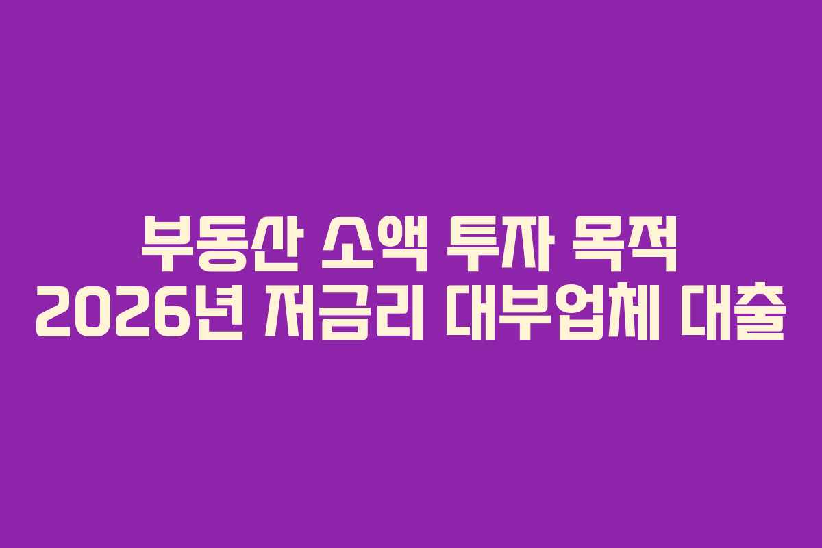부동산 소액 투자 목적 2026년 저금리 대부업체 대출