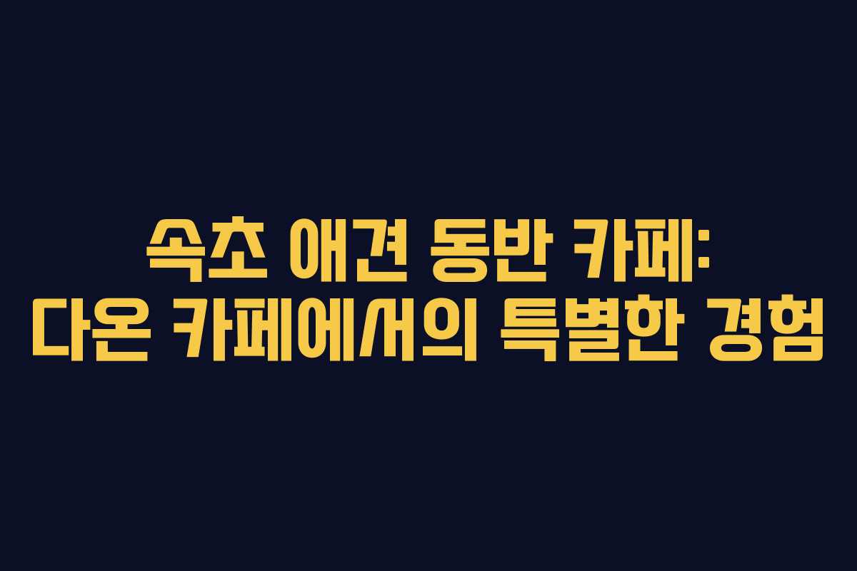 속초 애견 동반 카페: 다온 카페에서의 특별한 경험 속초 애견 동반 카페: 다온 카페에서의 특별한 경험