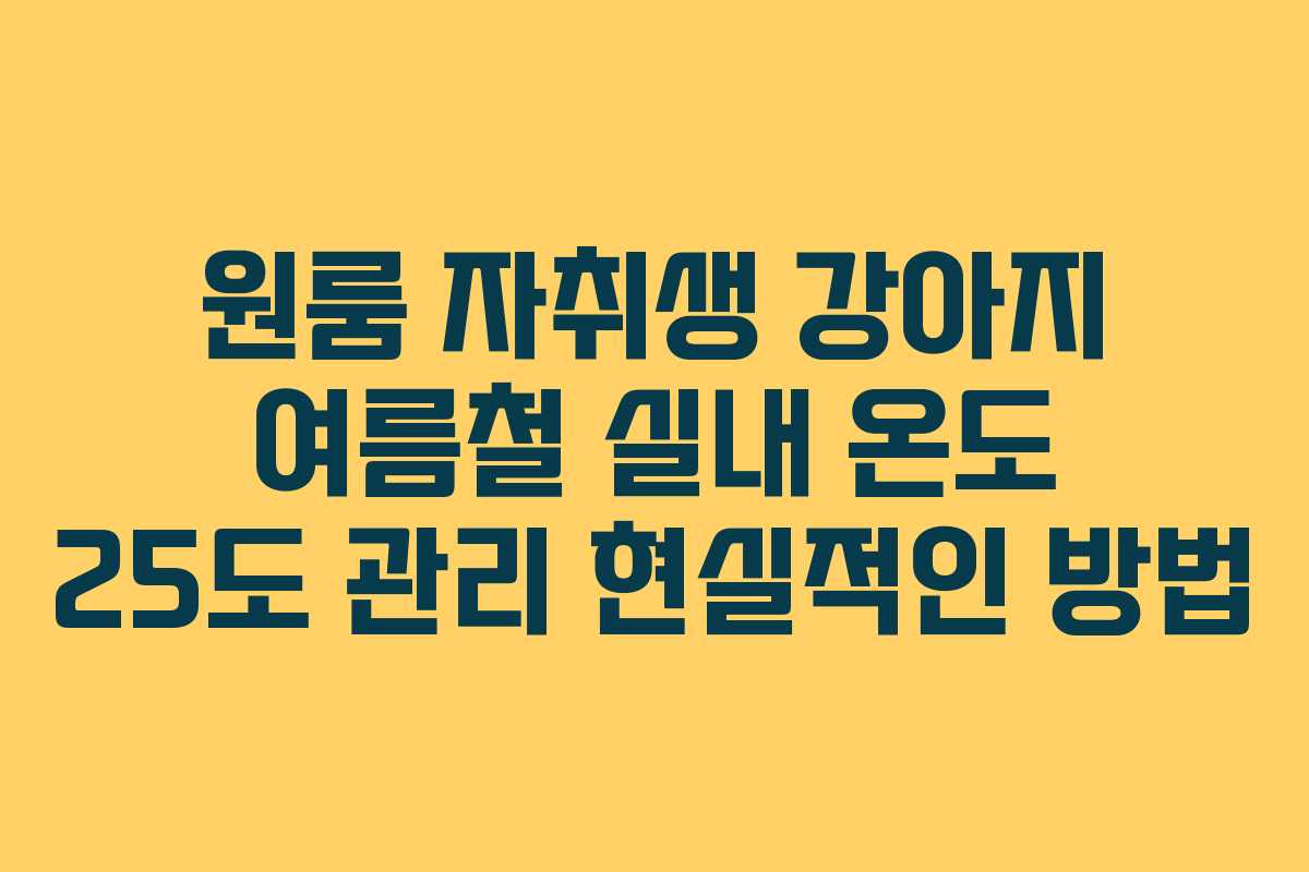 원룸 자취생 강아지 여름철 실내 온도 25도 관리 현실적인 방법